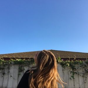 Meet your Posher, Dixie